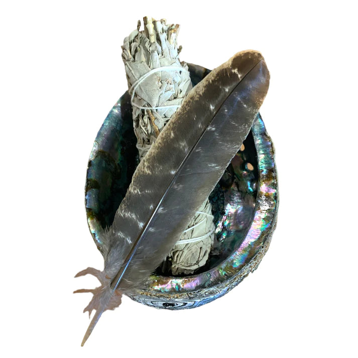  Expertly crafted Smudge Kit with giant 6.5" green Abalone Shell, 6" white Sage, and Turkey Feather
