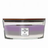 Woodwick scented candles allows you to enjoy the crackle of a fire from the comfort of your own home with your favourite scent of amethyst sky.